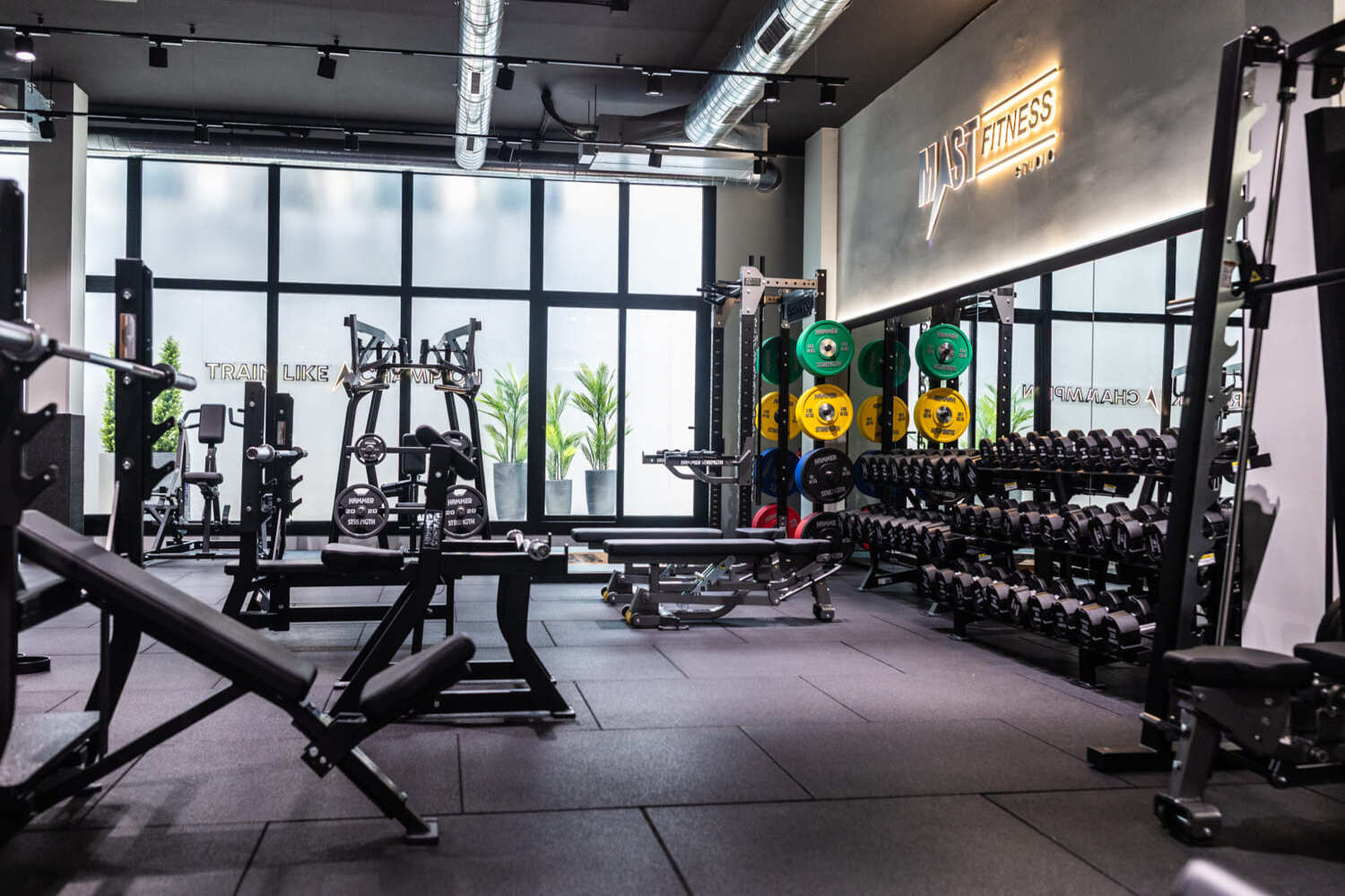Zona de entrenamiento de fuerza funcional