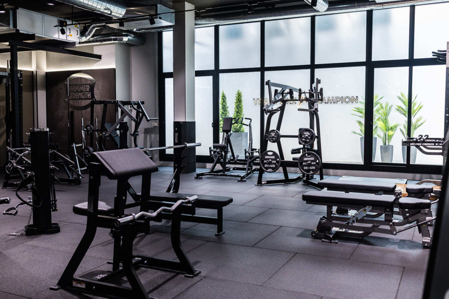 Sala zona de entrenamiento de fuerza Hammer Strength