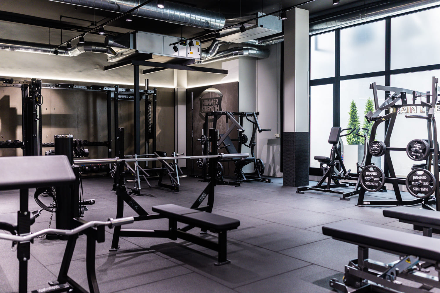 Sala zona de entreno de fuerza Hammer Strength