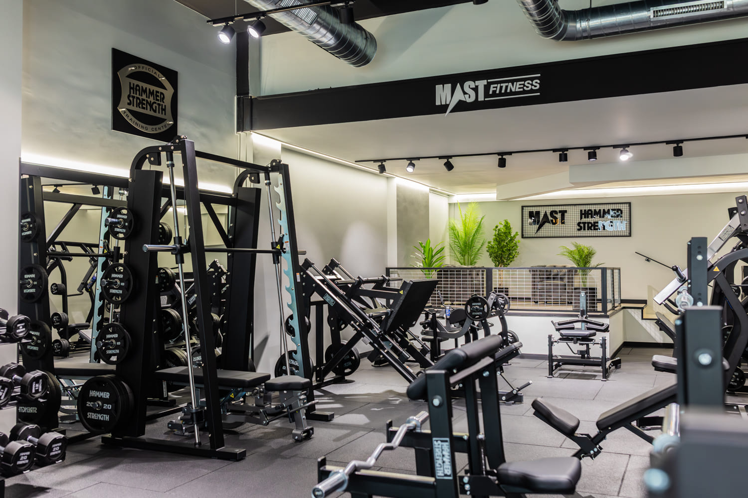 Zona de entrenamiento de fuerza Hammer Strength