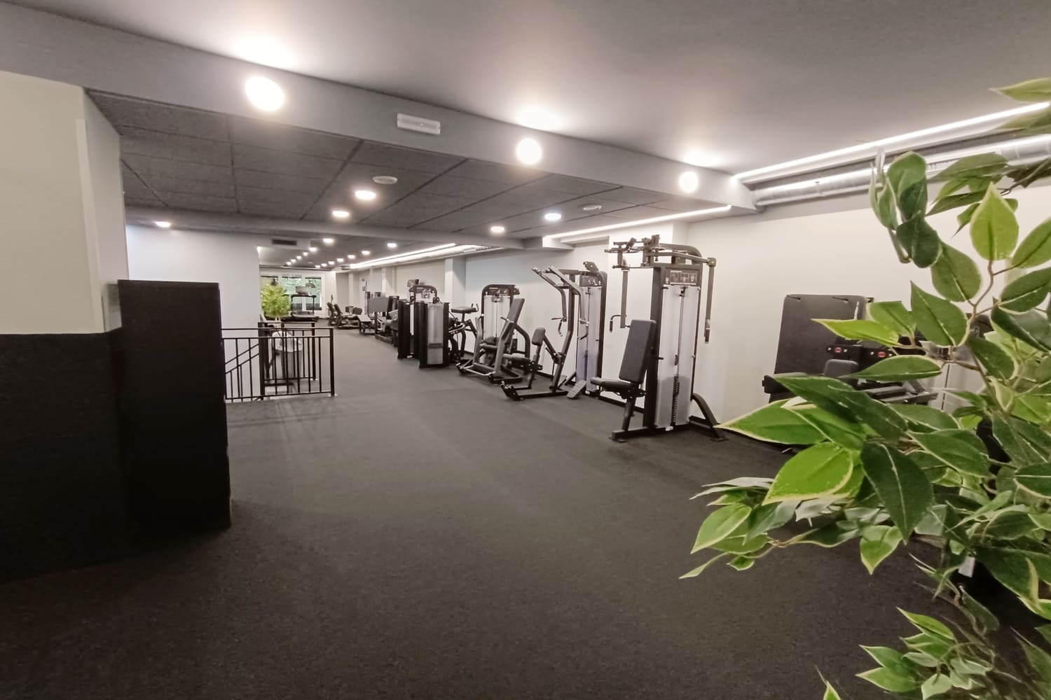 Máquinas planta 1 gym
